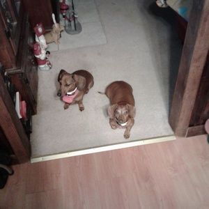 Meet your Posher, Stacie